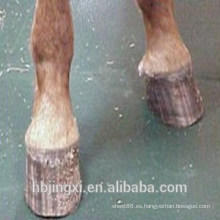 Estable estera / esteras de goma lisa del caballo para la venta